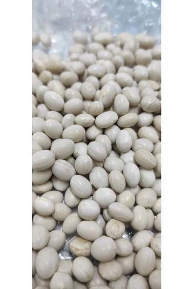 KURMEYSAN Ispir Kuru Fasulye 1 Kg - 2