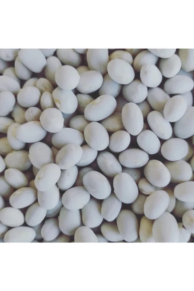 İspir Yöresel Ispir(şeker) Fasülyesi