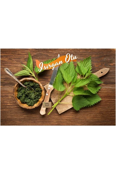 Sevinç Teyze Isırgan Otu, Dızlağan, Ağdalak, Dalagan, Isırgı, Dead Nettle, Urtica Dioica 30g - 2