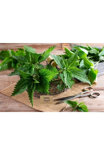 Sevinç Teyze Isırgan Otu, Dızlağan, Ağdalak, Dalagan, Isırgı, Dead Nettle, Urtica Dioica 30g - 3