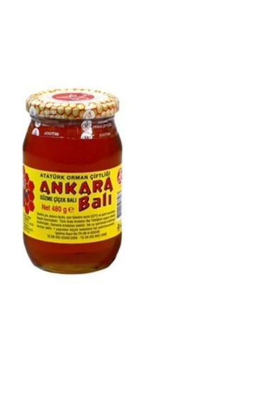 Atatürk Orman Çiftliği Ankara Bal 480gr Süzme Çiçek