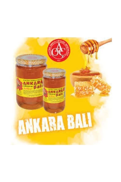 Atatürk Orman Çiftliği Ankara Bal 480gr Süzme Çiçek - Resim 3