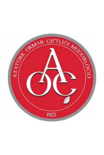 Atatürk Orman Çiftliği Ankara Bal 480gr Süzme Çiçek - Resim 2