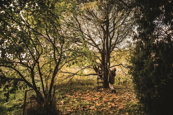 Fiskars UPX86 PowergrearX Teleskopik Yüksek Dal Budama Makası - 5