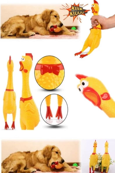 Büyük Boy Sesli Horoz Eğlenceli Köpek ve Kediler İçin Sesli Öten Horoz Oyuncak 38 Cm - 5
