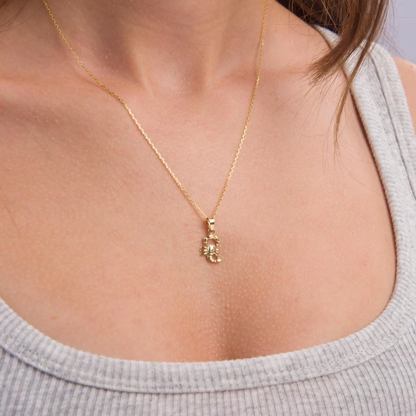 14 Ayar Altın Akrep Burç Kolye Ucu 0,70 gr - Resim 6