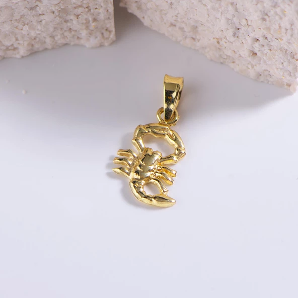 14 Ayar Altın Akrep Burç Kolye Ucu 0,70 gr - Resim 4