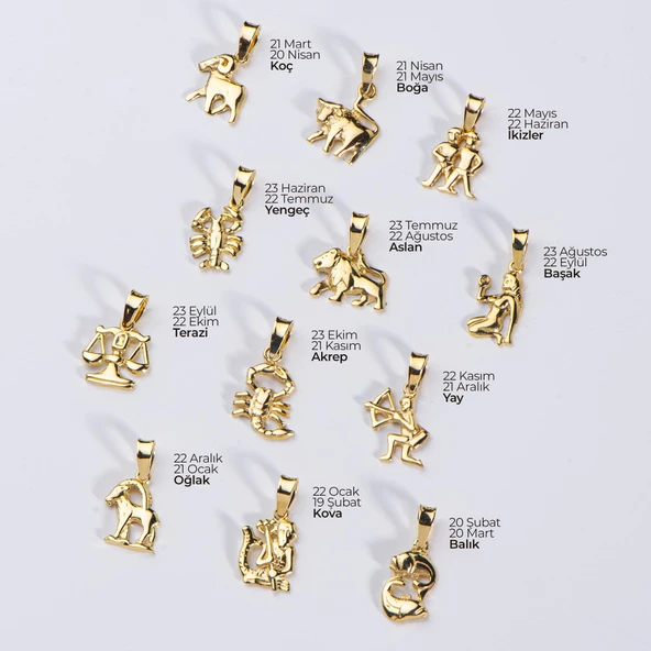 14 Ayar Altın Koç Burç Kolye Ucu 0,57 gr - Resim 7