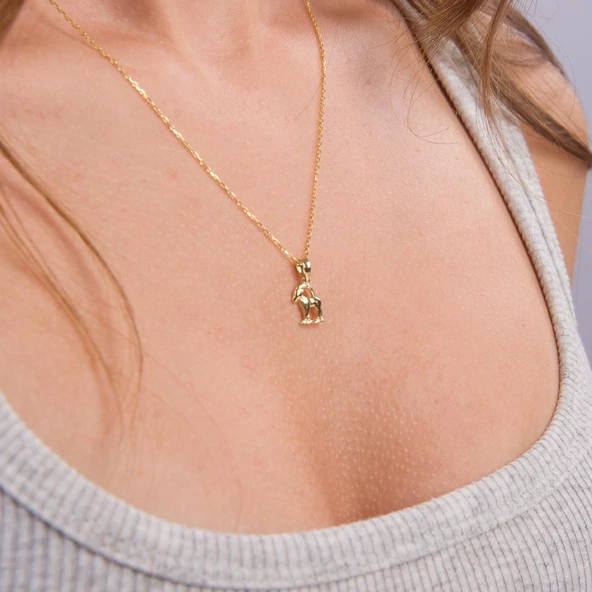 14 Ayar Altın Oğlak Burç Kolye Ucu 0,65 gr - Resim 5