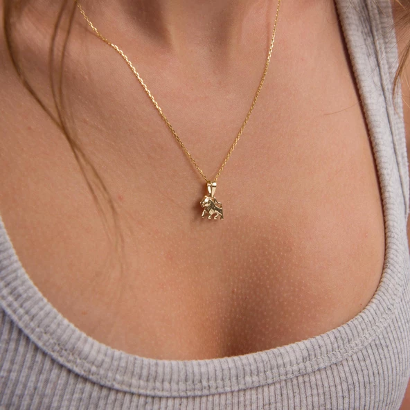 14 Ayar Altın Aslan Burç Kolye Ucu 0,80 gr - Resim 6