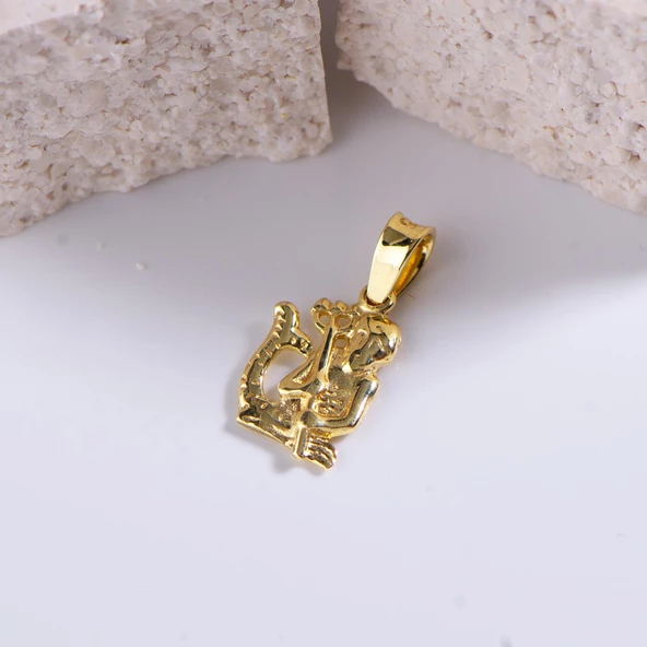 14 Ayar Altın Kova Burç Kolye Ucu 0,64 gr - Resim 3