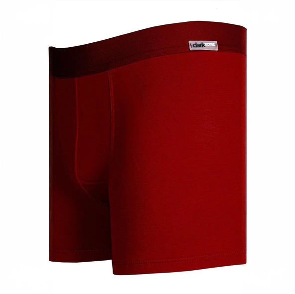 DarkZone Dznbm 2001-2002-2003-2004-2007-2008 Erkek Bambu Boxer - 2