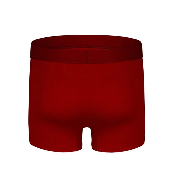 DarkZone Dznbm 2001-2002-2003-2004-2007-2008 Erkek Bambu Boxer - 3