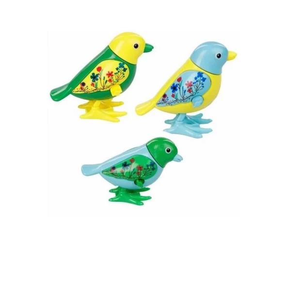 Kurmalıgiller Kuş - 3