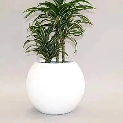 Nettenevime Fiber Saksı  Beyaz Küre Yuvarlak Top Vazo Dekoratif Saksı Fiberglas 25*25cm - 8