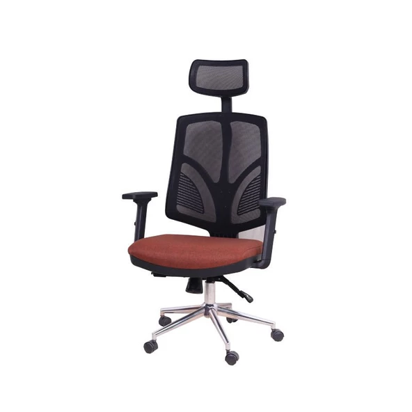 Theori Yönetici Koltuğu