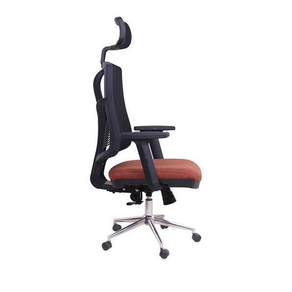 Theori Yönetici Koltuğu - 2