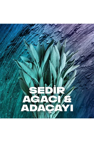 Axe Erkek Sprey Deodorant Apollo 48 Saat Etkileyici Koku 200 ml x3 - 4