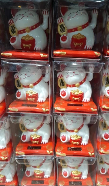 Şanslı Kedi - 2