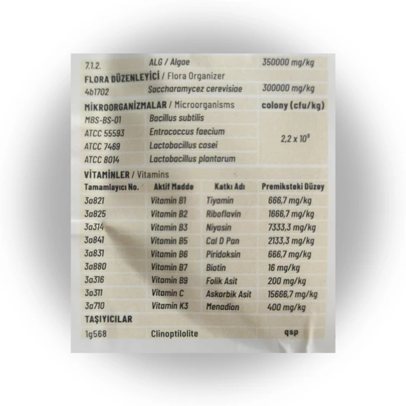 Dr. FİSHER ALG IMU PRO -- GÜÇLÜ OMEGA-3 PROBİYOTİK DESTEĞİ - KEDİ DOSTU - Resim 2