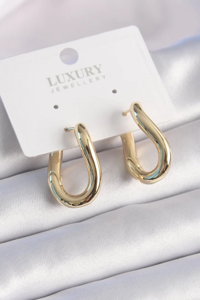 Pirinç Gold Renk Halka Model Kadın Küpe ürün görseli 1