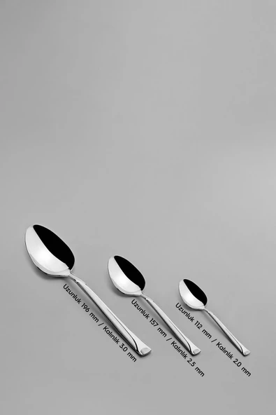 Nehir Fiesta Saten 12 Kişilik 60 Parça Çatal Kaşık Takımı - Resim 4