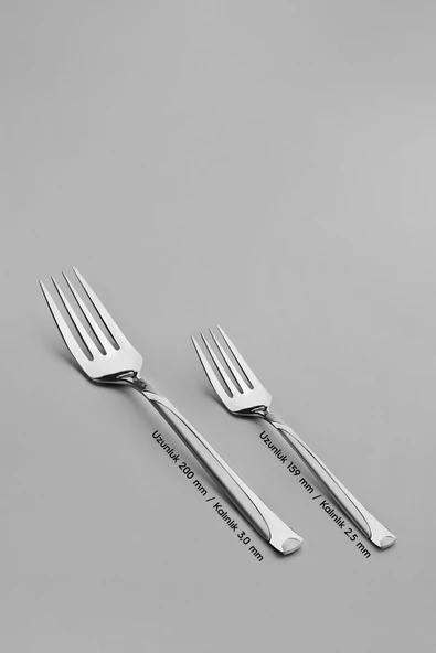 Nehir Fiesta Saten 12 Kişilik 60 Parça Çatal Kaşık Takımı - Resim 2