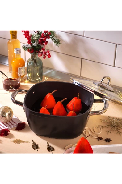 Schafer Gastronomie Master Granit Derin Tencere-20cm
