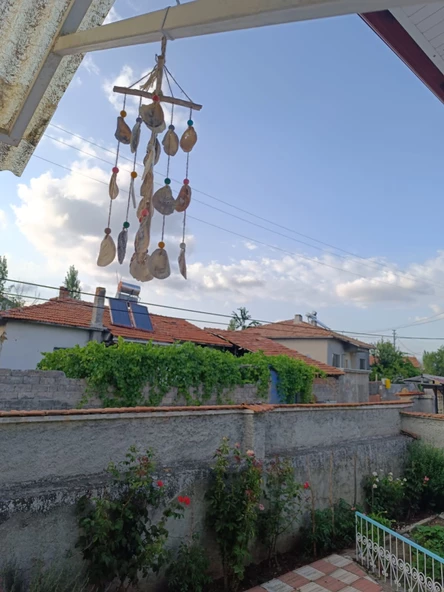 GÜL-CE Dekoratif Lodos Dalı Deniz Kabuklu Rüzgar Çanı - 2