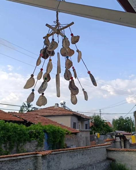 GÜL-CE Dekoratif Lodos Dalı Deniz Kabuklu Rüzgar Çanı