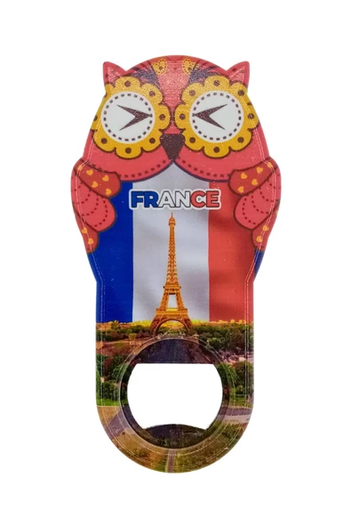 Fransa Temalı Baykuş Magnet Kapak Açacak - Resim 3