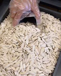 1KG SALAMUR KABAK ÇEKİRDEĞİ - 3