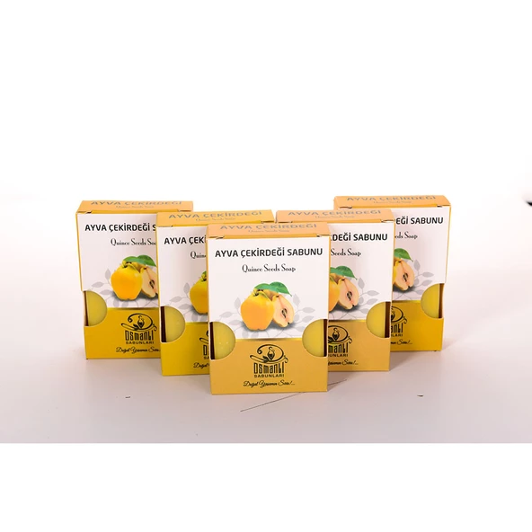 AYVA ÇEKİRDEĞİ SABUNU 100 GR 5Lİ SET