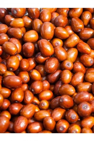 1KG İĞDE KURUSU DOĞAL ÖZENLE SEÇİLMİŞ - 3