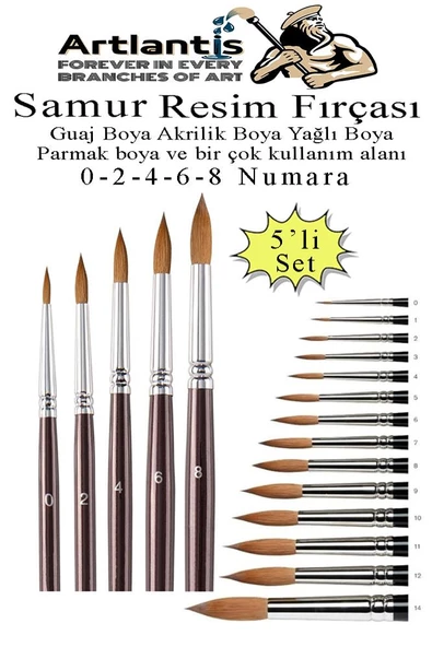 Resim Fırçası 0 - 2 - 4 - 6  - 8 Numara 1 Paket 5 li Samur Yuvarlak Uçlu Fırça Seti Guaj Sulu Akrilik Yağlı Boya Fırçaları