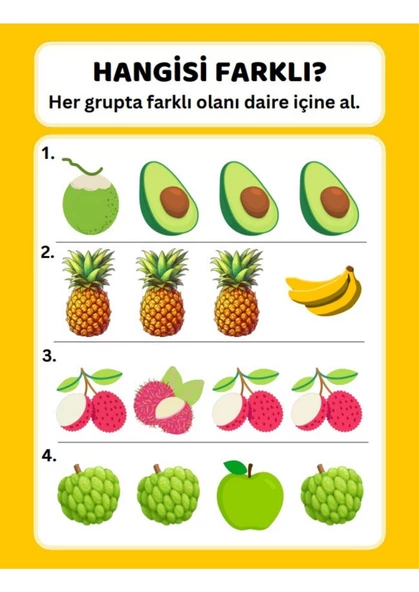 Okul Öncesi Farklı Olanı Bul YAZ-SİL Kitabı - 5