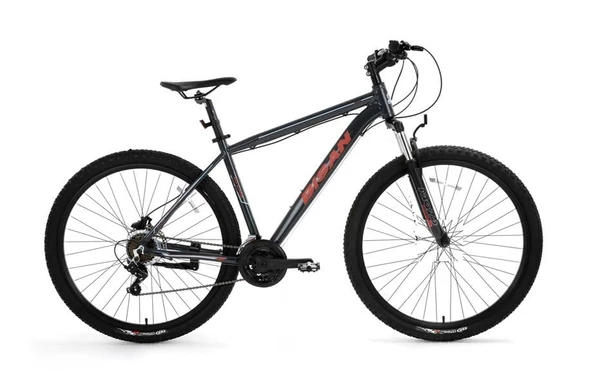 BİSAN ATLAS ERKEK DAĞ BİSİKLETİ 48CM V 29 JANT 21 VİTES PARLAK GRİ KIRMIZI