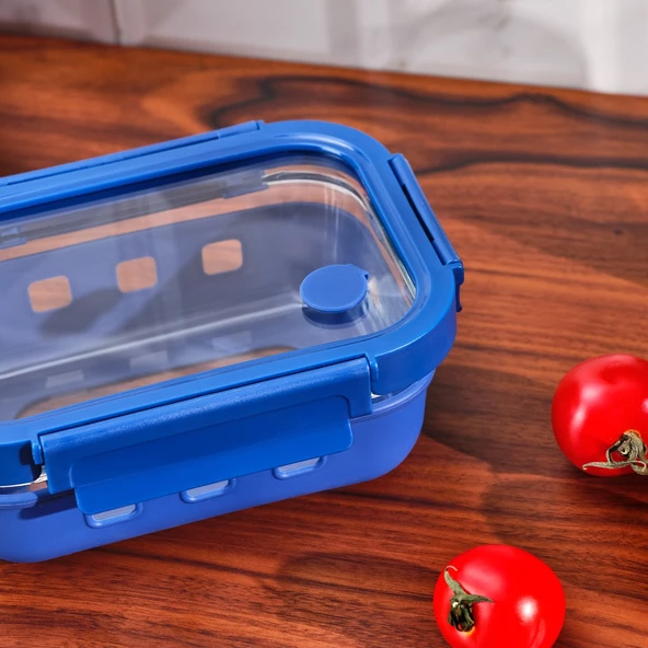 EMSAN SMART 640 ML BOROSİLİKAT SAKLAMA KABI - 2