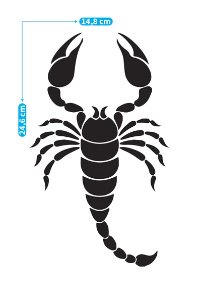 Akrep Araç Sticker 21x29 cm, Oto Sticker, Araba Sticker - 2
