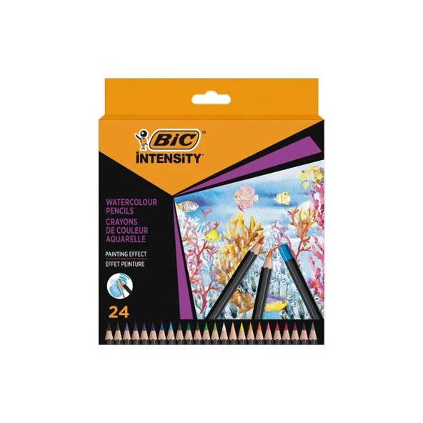 Bic Intensıty Aquacouleur Kuru Sulu Boya 24 Renk