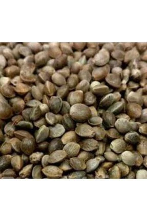 1 KG ÇEDENE ÇİĞ - 3