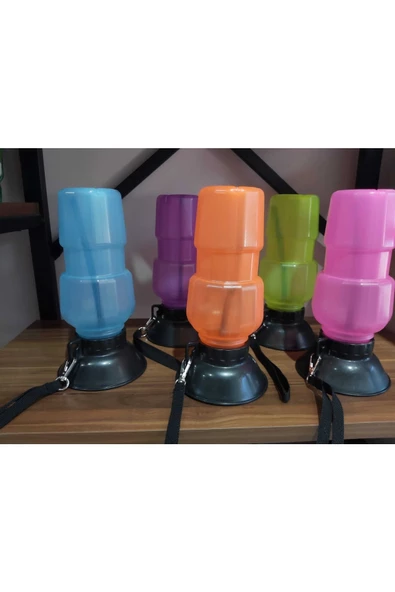 Köpek Seyahat Suluğu - 3