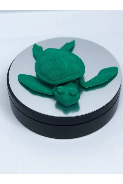 3d Hareketli Kaplumbağa Figürlü Oyuncak - Yeşil - Resim 2