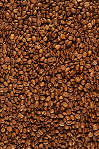 Kahve Çekirdekleri Temalı Cafe Duvar Kağıdı Baskı - 5