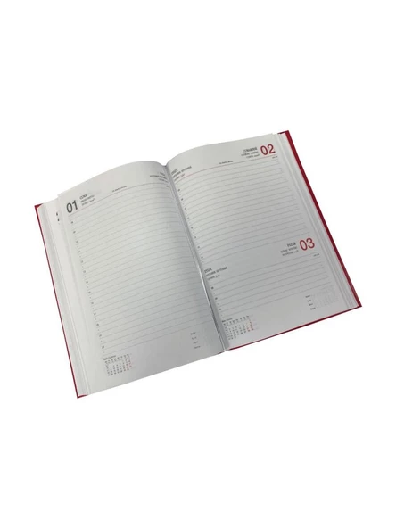 Liz Ajanda Ekonomik Cilt Bezi Çizgili 14x20 CM 2025 Yılı Ajanda (Karışık Renk 1 Adet) - Resim 7