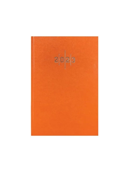 Liz Ajanda Ekonomik Cilt Bezi Çizgili 14x20 CM 2025 Yılı Ajanda (Karışık Renk 1 Adet) - Resim 5