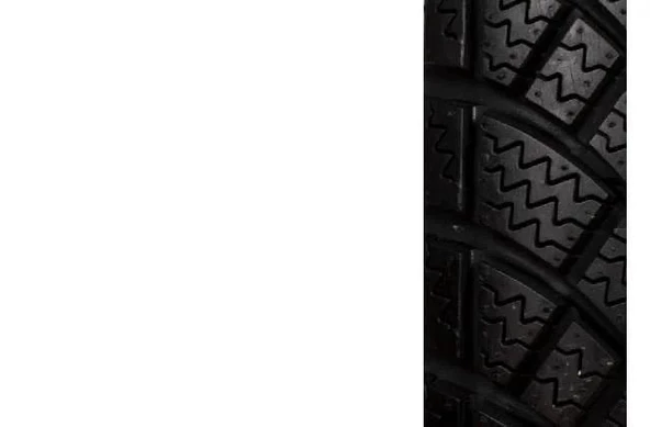 BİLLAS 100/90-10 TL 4PR 56M BL200 DUBLEKS SCHOTER KIŞ LASTİĞİ