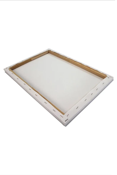 Nishev 5 Adet Öğrenci Tipi Sanatsal Tuval Arkadan Zımbalı 35 x 50 cm - 2