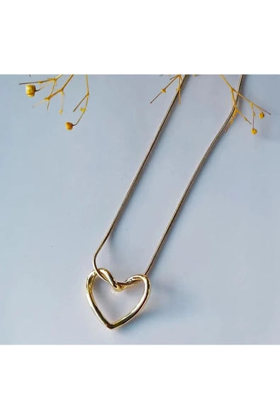 Farklı Tarz ve Şık İçi Boş Kalp Detay Çelik Kolye ürün görseli 1