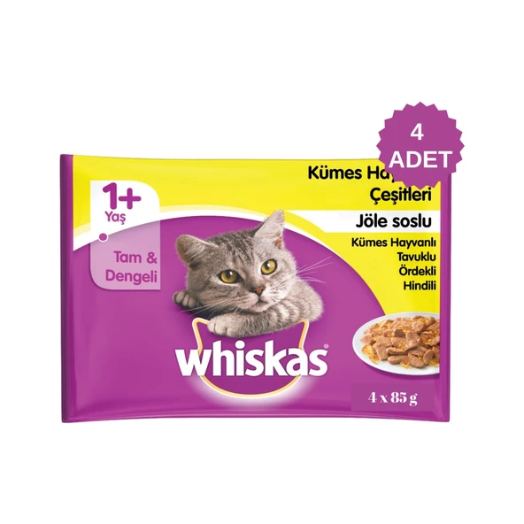 Whiskas Kümes Hayvanlı Seçenekleri Jöleli Pouch Kedi Konserve Maması 4 x 85 gr 4 Paket